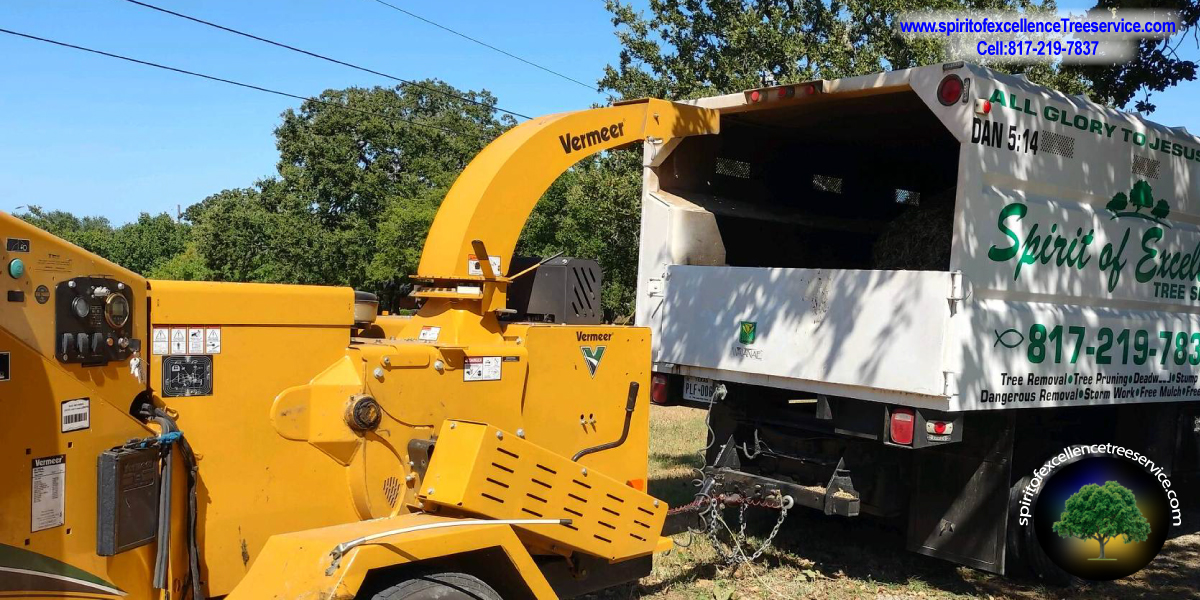 Tree Trimming | Tree Removal | Tree Care | Spirit of Excellence Tree Service.com