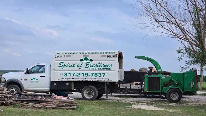Tree Service | Spiritofexcellencetreeservice.com