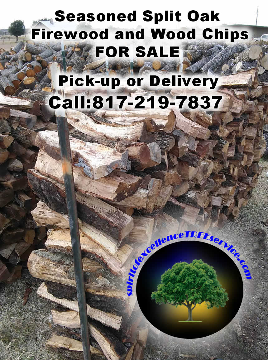 Spirit of Excellence Tree Service